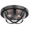 Nuvo Lincoln 2-Light Large Flush Mount, E26 60W, Matte Black, Clear Seeded 60/7672 - alternate 3